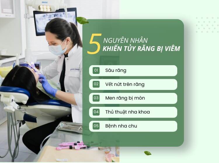 Bệnh nha chu có thể ảnh hưởng đến tủy răng nếu không điều trị sớm