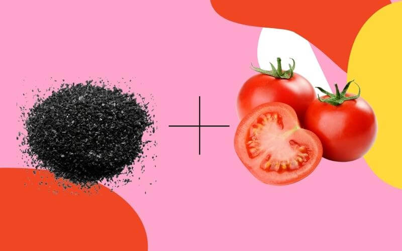Kết hợp cà chua và than hoạt tính giúp tăng khả năng làm trắng sáng răng