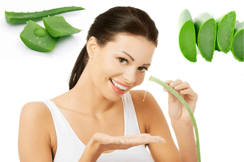 Nên dùng nha đam tươi và không bị nhiễm thuốc để đảm bảo an toàn